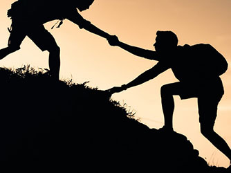 Employee Wellbeing Collection