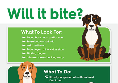 Dogs: Will They Bite?